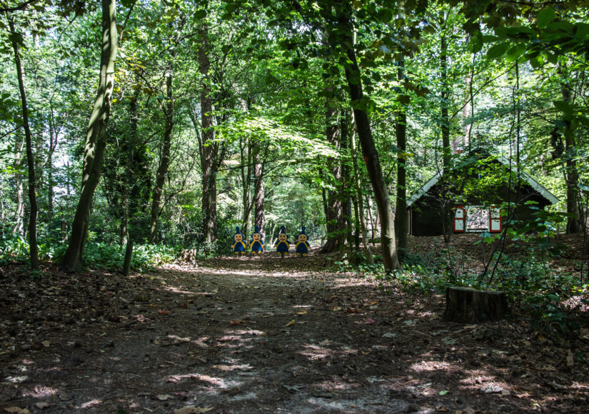 vakantiewoning Kasterlee Driehoekshoeve