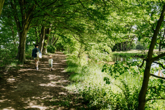 Herfstwandeling in Kasterlee tijdens een groepsverblijf in de Kempen