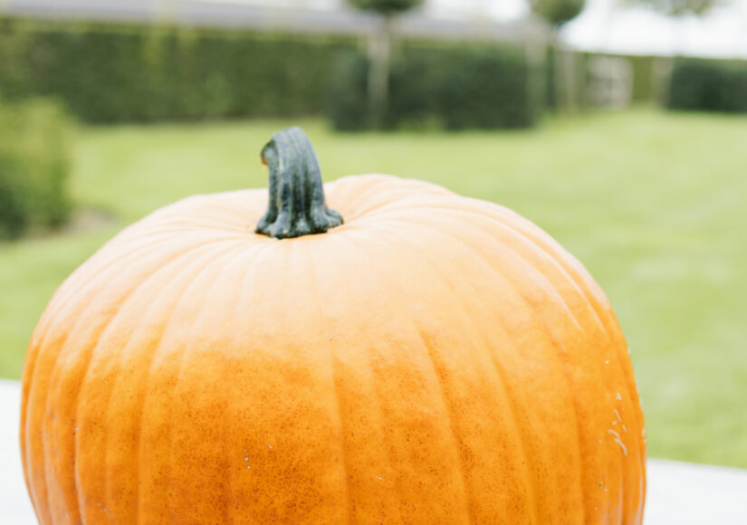 Halloween Kempen | Driehoekshoeve | Luxe vakantiewoning Kasterlee